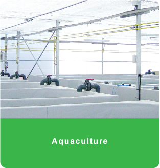 Aquaculture